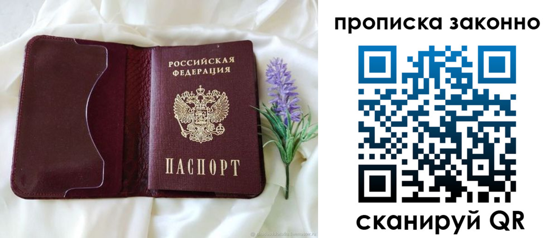 регистрация в Саратовской области